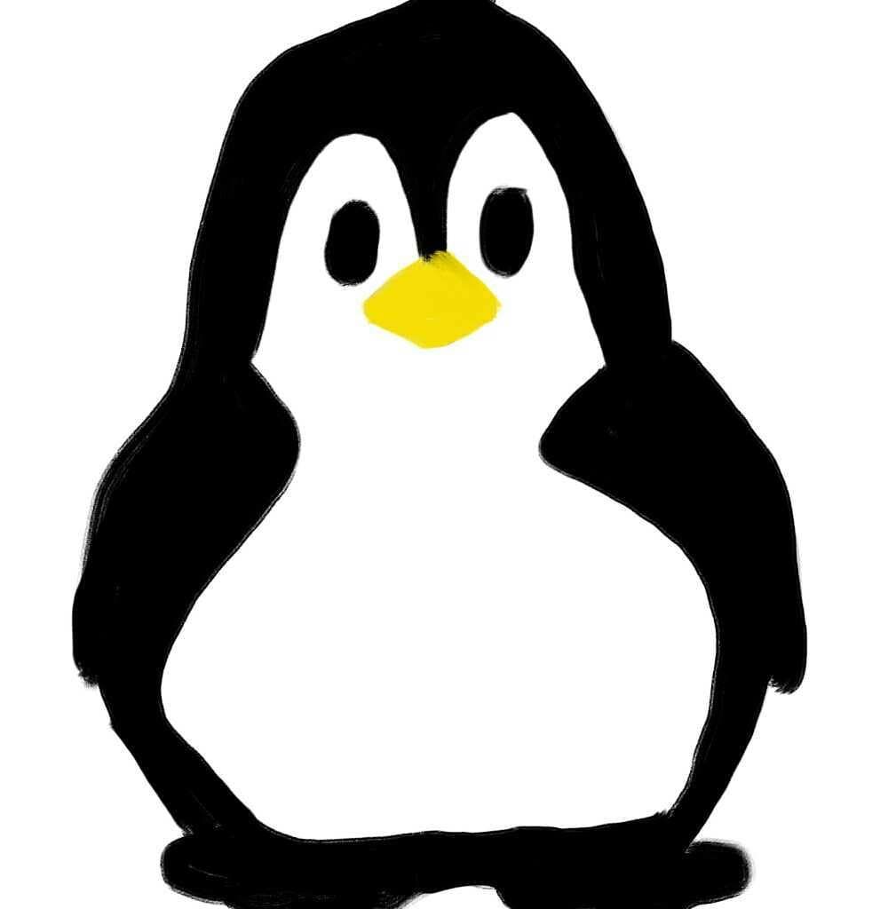 1000x1024 Penguin