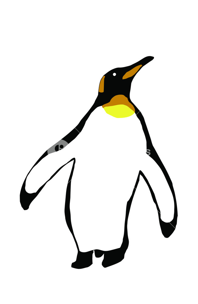 652x1000 Simple Emperor Penguin Illustration Isolated On White Royalty