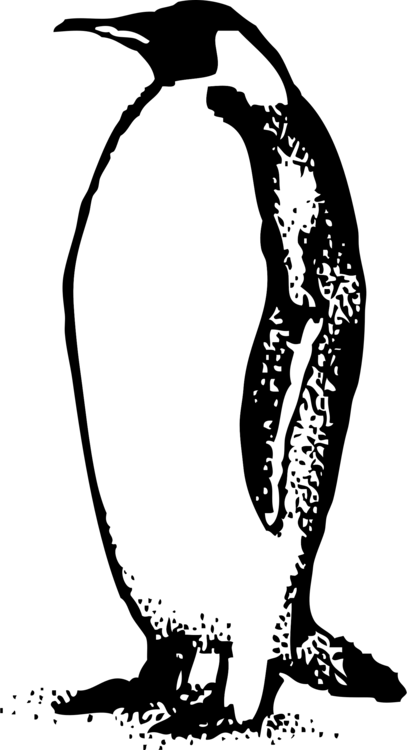 407x750 The Emperor Penguin Black And White Drawing Cc0