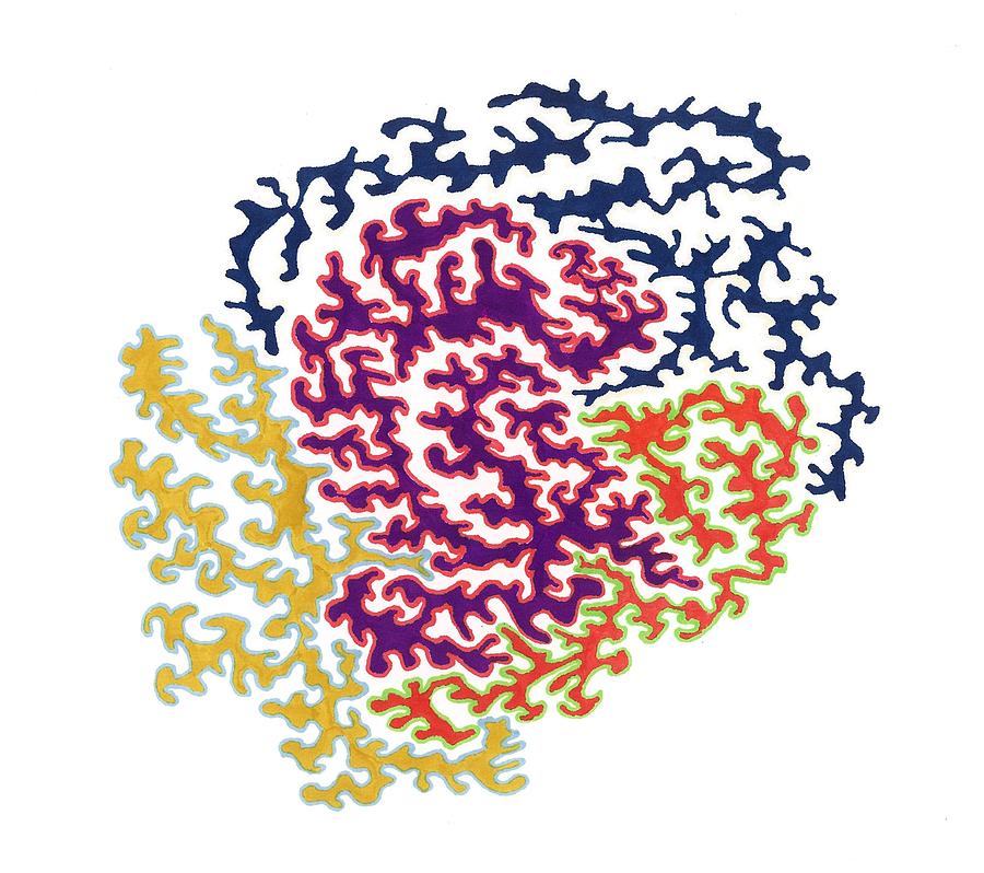 900x798 Moving Toward Empowerment Drawing