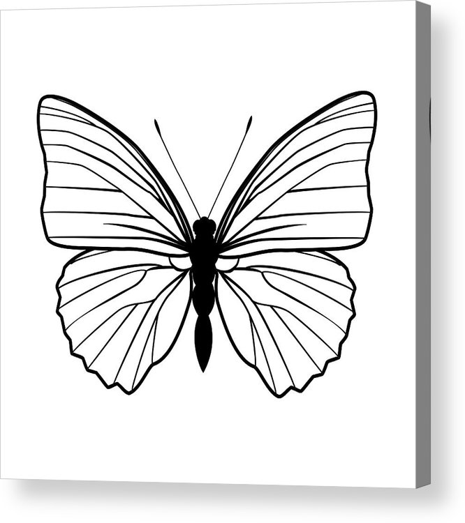 666x750 Butterfly Stencil