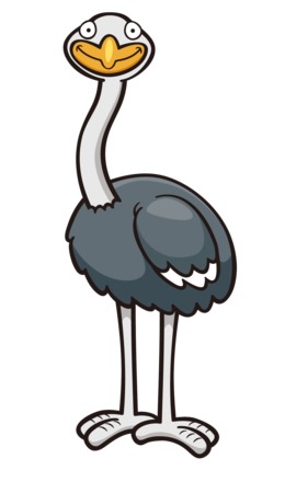 260x440 download ostrich clipart common ostrich clip art