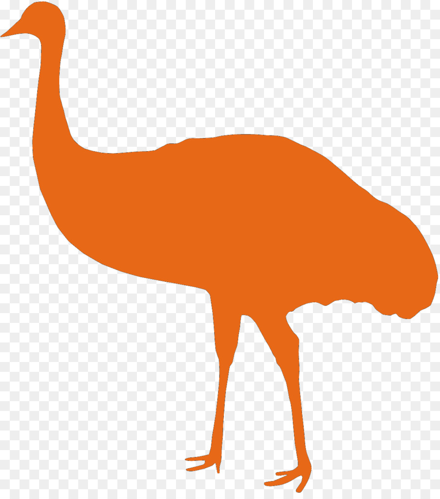 900x1020 Drawing, Bird, Orange, Transparent Png Image Clipart Free Download