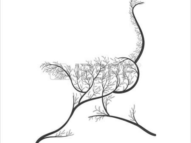 640x480 emu clipart silhouette