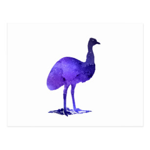 307x307 emu postcards zazzle ca
