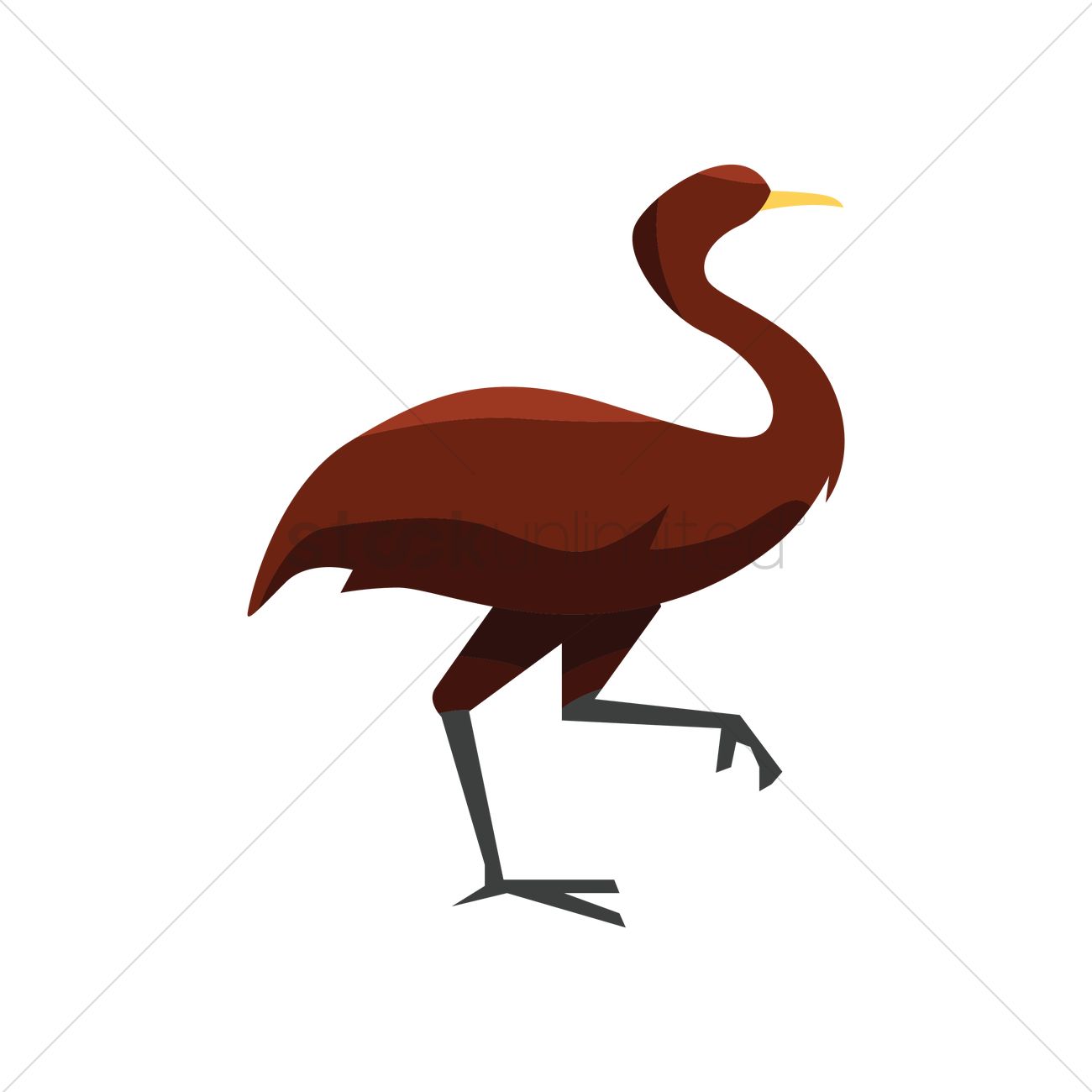 1300x1300 emu vector image