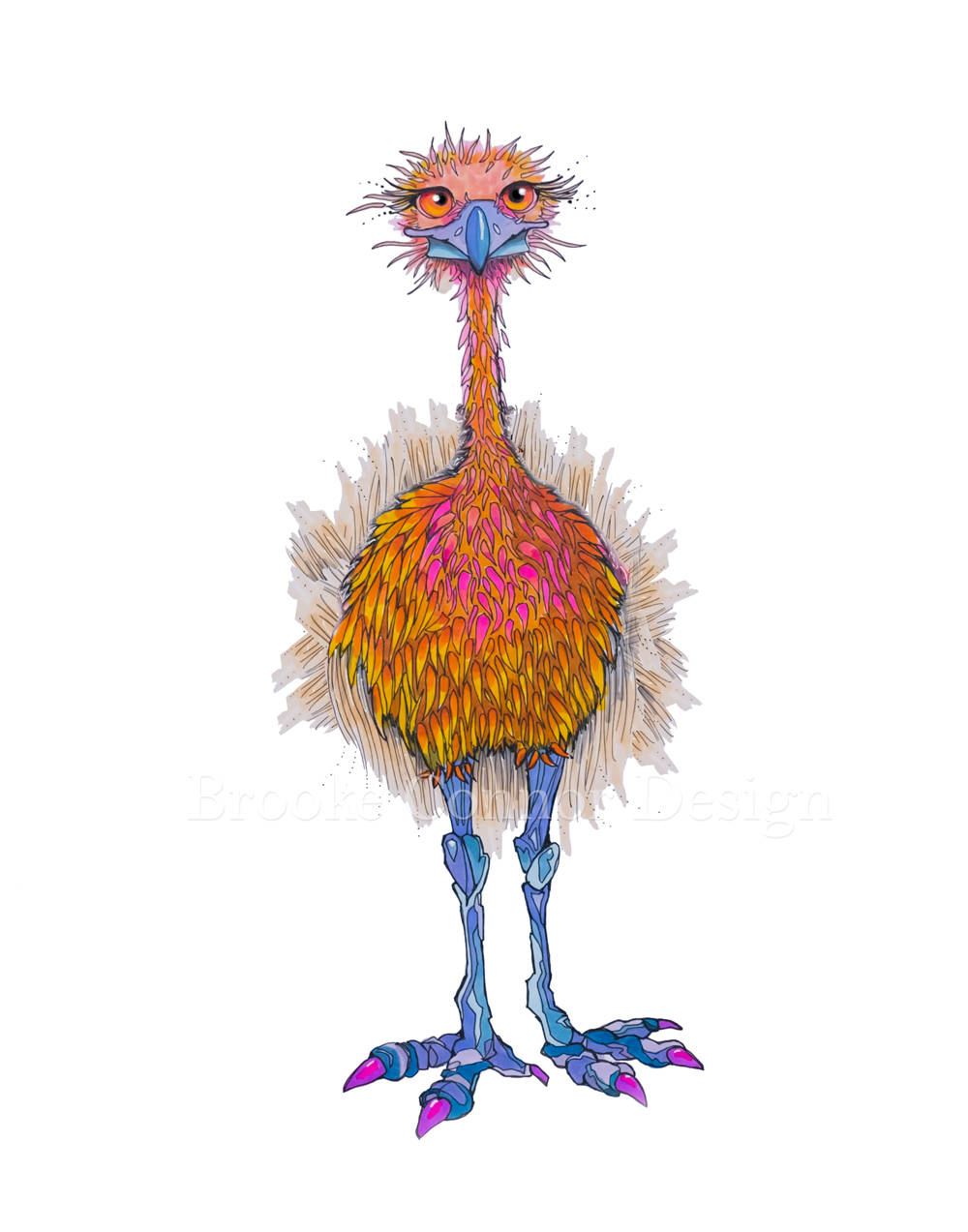 1000x1273 emu the biggest most beautiful bird in the world etsy