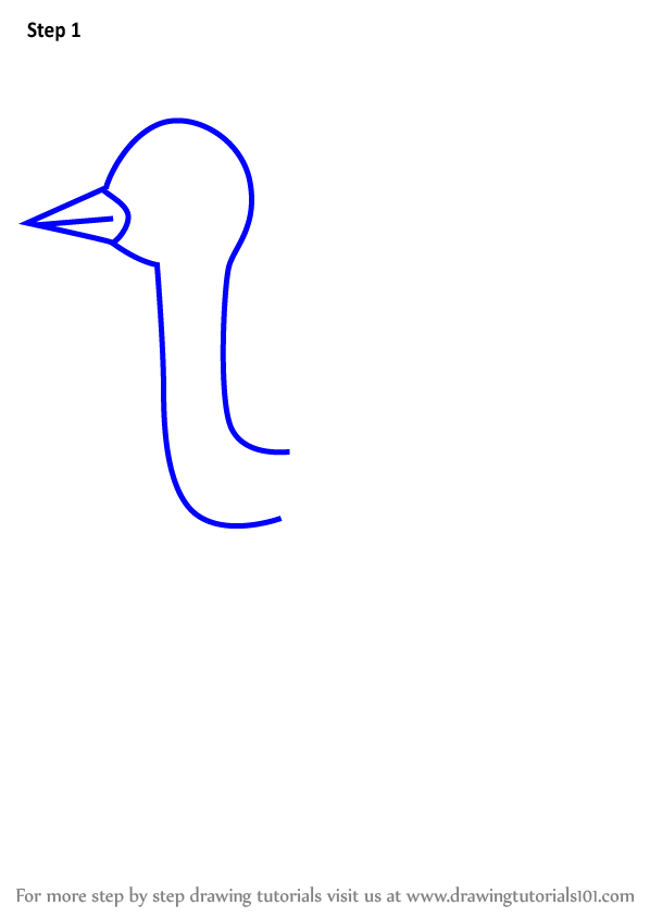 598x844 learn how to draw an emu for kids