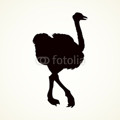 400x400 Ostrich Vector Drawing Buy Photos Ap Images Detailview
