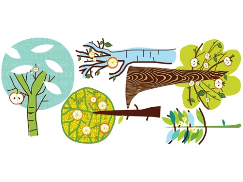 500x375 Free Shipping