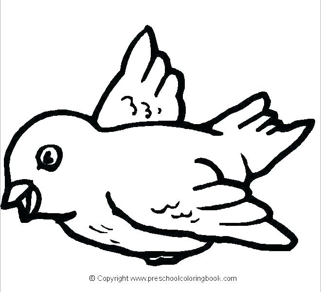 660x600 Coloring Book Bird