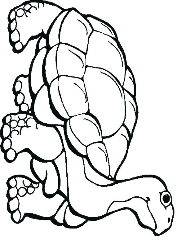 600x800 Forest Animal Coloring Pages