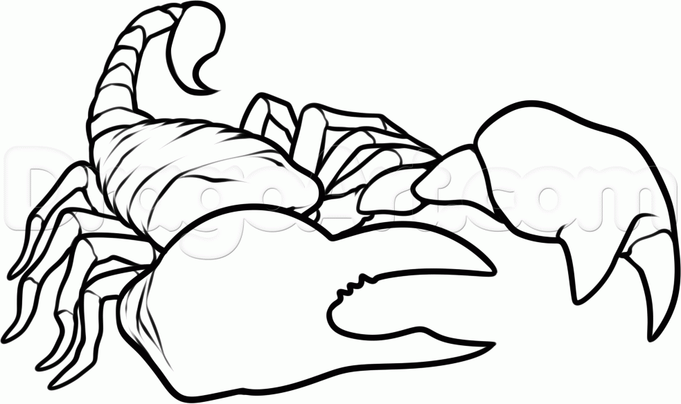 983x584 Draw A D Scorpion, Step