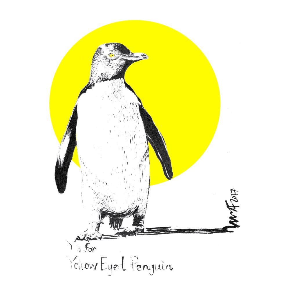 1000x1000 An A Z Of Endangered Animals