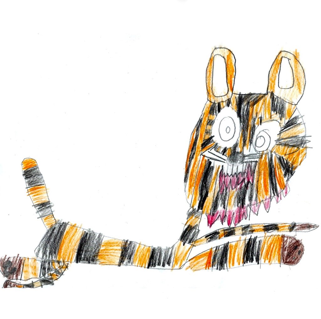 1024x1016 drawing for endangered species workshops jane lee mccracken