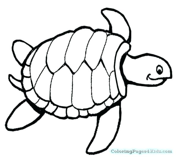 Endangered Species Drawing | Free download on ClipArtMag