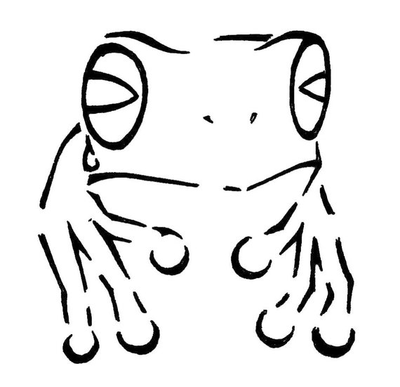 570x551 endangered species harlequin frog eco art scrimshaw engraving