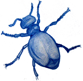 282x276 Endangered Species International