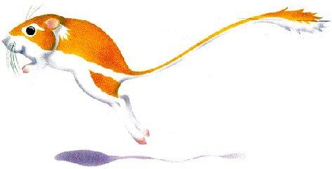 473x241 Endangered Species Save Our Species Information