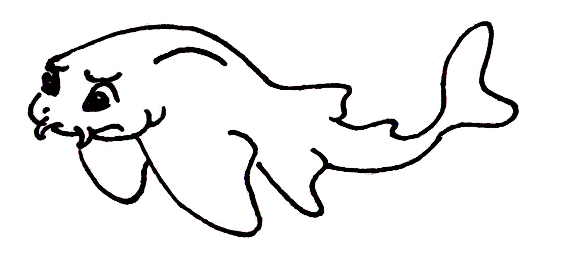 1113x525 genetic exploration of a critically endangered angel shark sosf