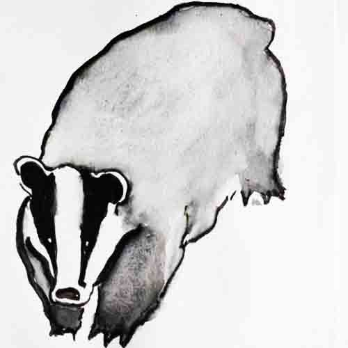 500x500 Wildlife Art Archives