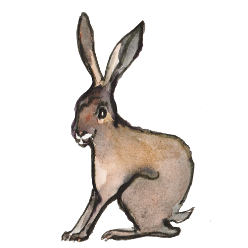 500x500 Wildlife Art Archives