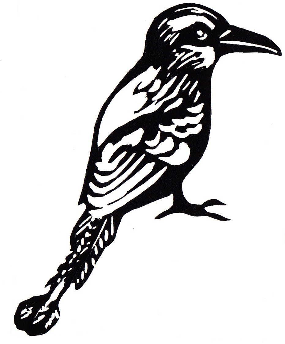 931x1122 Catherine Aiello Endangered Species Of Central America