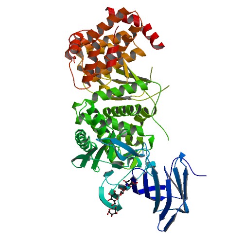 500x500 rcsb pdb