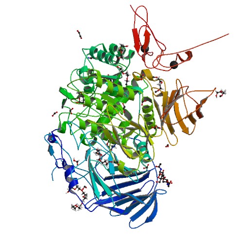 500x500 rcsb pdb