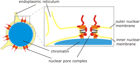 470x213 research interests
