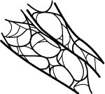 150x134 cell parts ask a biologist