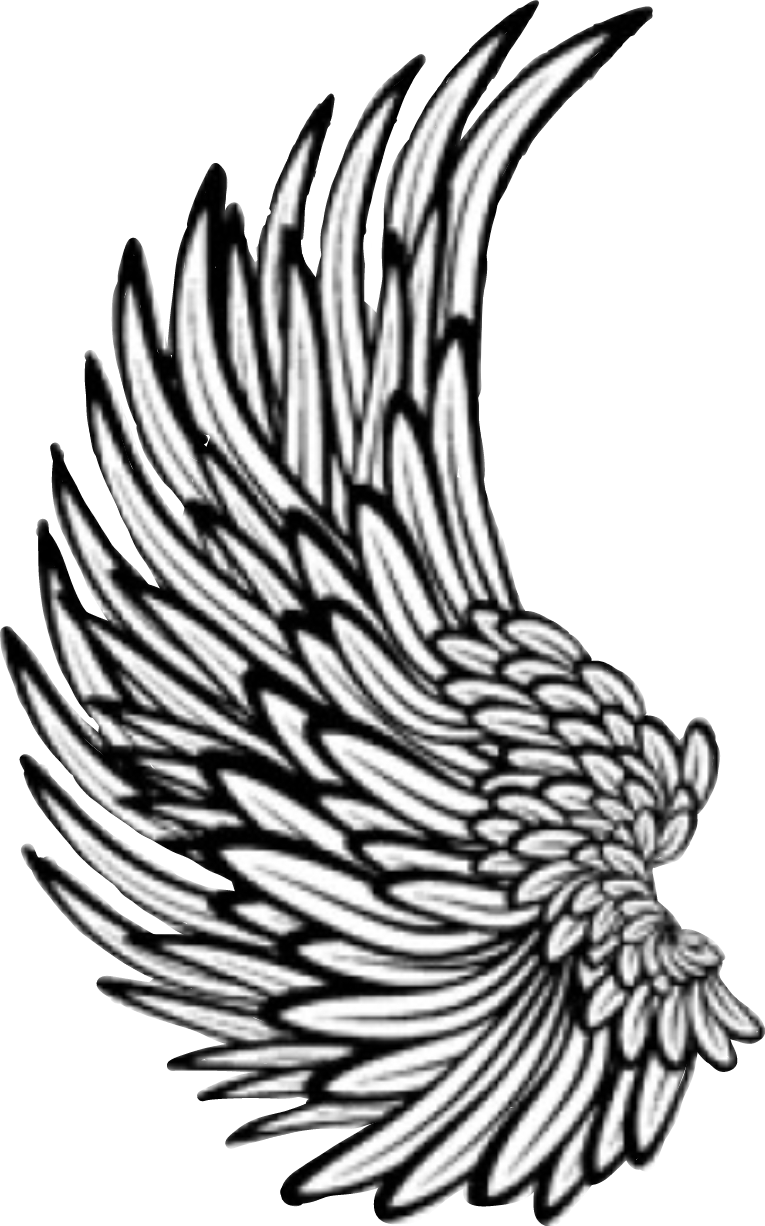 765x1226 Engel Angel Wing