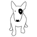 English Bull Terrier Drawing