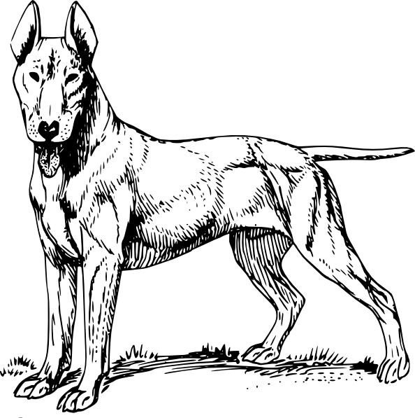 594x597 Dog Clip Art