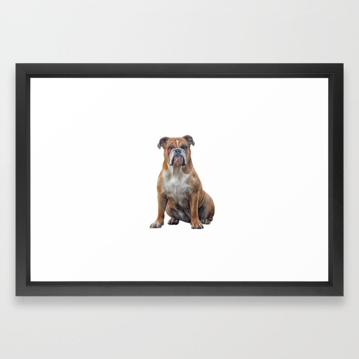 700x700 Drawing Dog Breed English Bulldog Framed Art Print