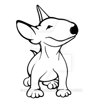 400x400 English Bull Terrier Pup White