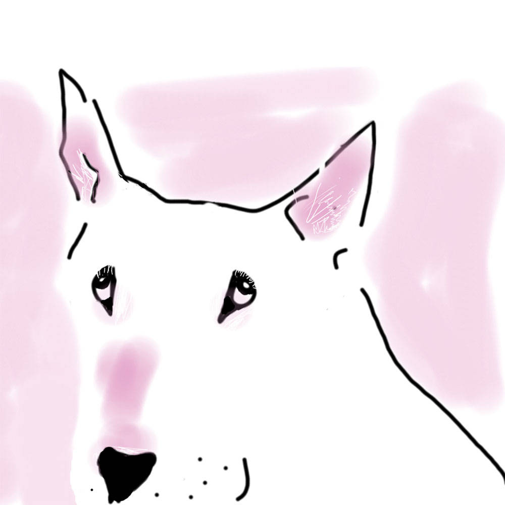 1000x1000 Pretty In Pink Charming English Bull Terrier Card Etsy