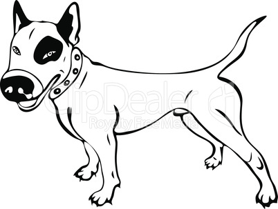 402x303 bull terrier vectorgraphics about bull terrier