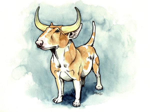 600x447 Bull Terrier Drawings