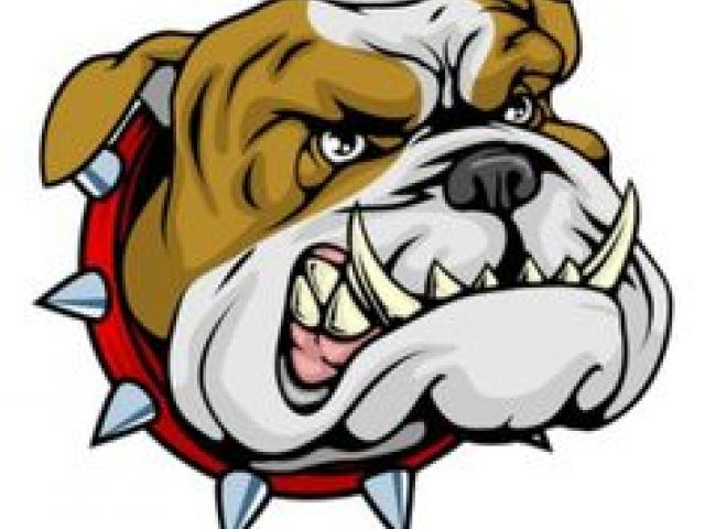 640x480 English Bulldog Clipart Drawing
