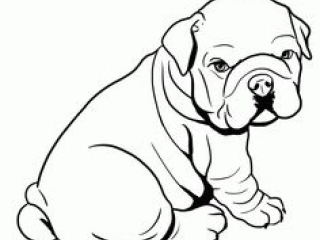 640x480 Free English Bulldog Clipart, Download Free Clip Art