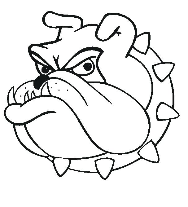 607x668 How To Draw A Bull Dog