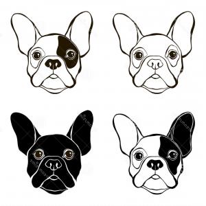 300x300 Best Silhouette Of An English Bulldog Vector Drawing Soidergi