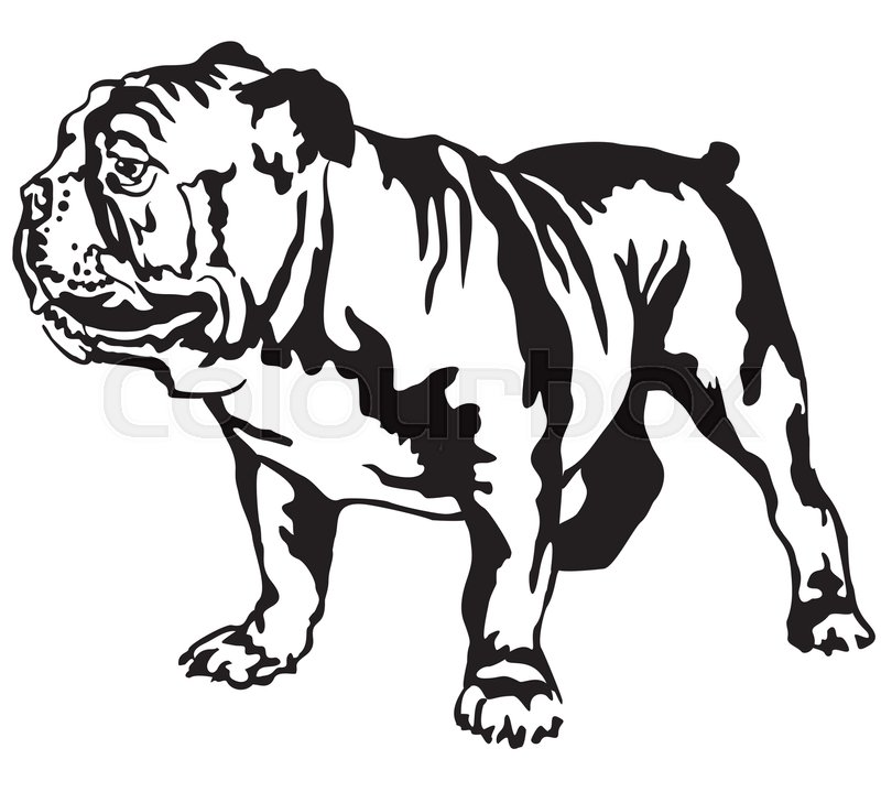 800x719 Decorative Portrait Of Standing In Stock Vector Colourbox