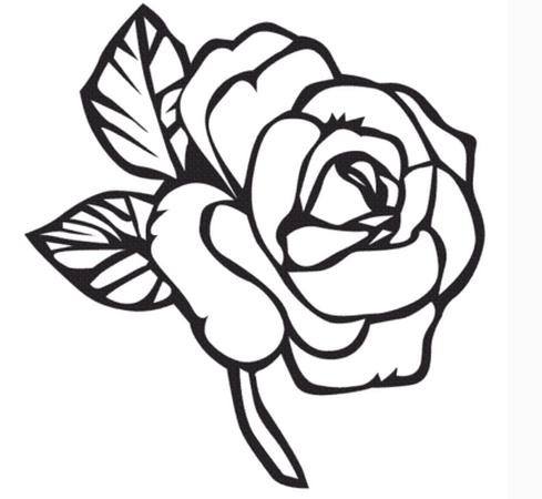 489x450 Ode To Flowers Steemit