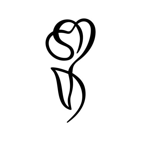 490x490 Rose Flower Concept Continuous Line Hand Drawing Calligraphic
