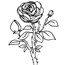 230x230 Top Free Printable Beautiful Rose Coloring Pages For Kids