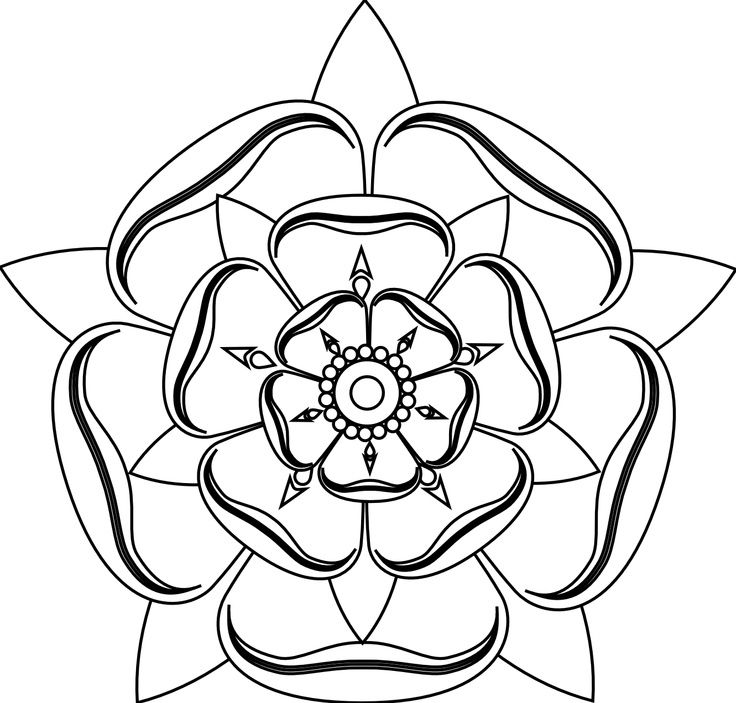 736x703 English Drawing Rose Lancashire For Free Download