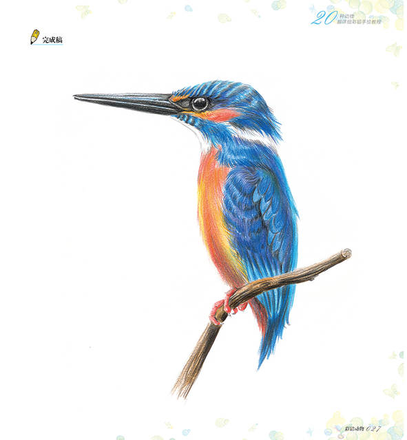 591x640 Online Shop New Color Pencil Sketch Entry Books Chinese Line