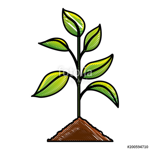 500x500 Plant Ecology Leaves Natural Environment Image Vector Illustration